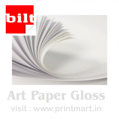 Art Paper Gloss Bilt 300 56.0x71.0 White Shine